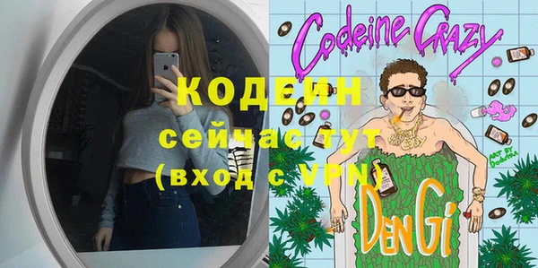 шишки Карпинск
