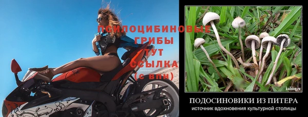 каннабис Каменногорск